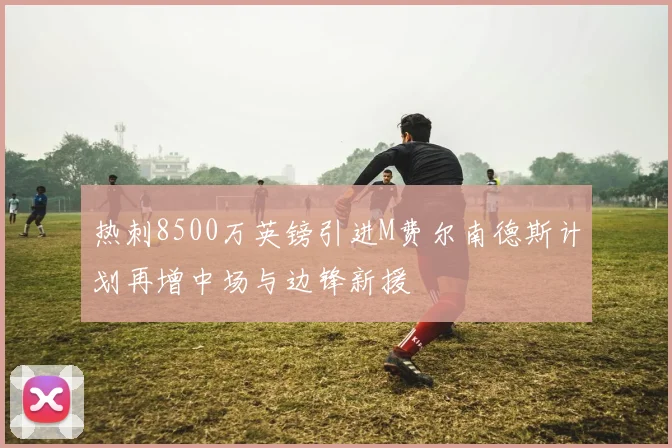 热刺8500万英镑引进M费尔南德斯计划再增中场与边锋新援